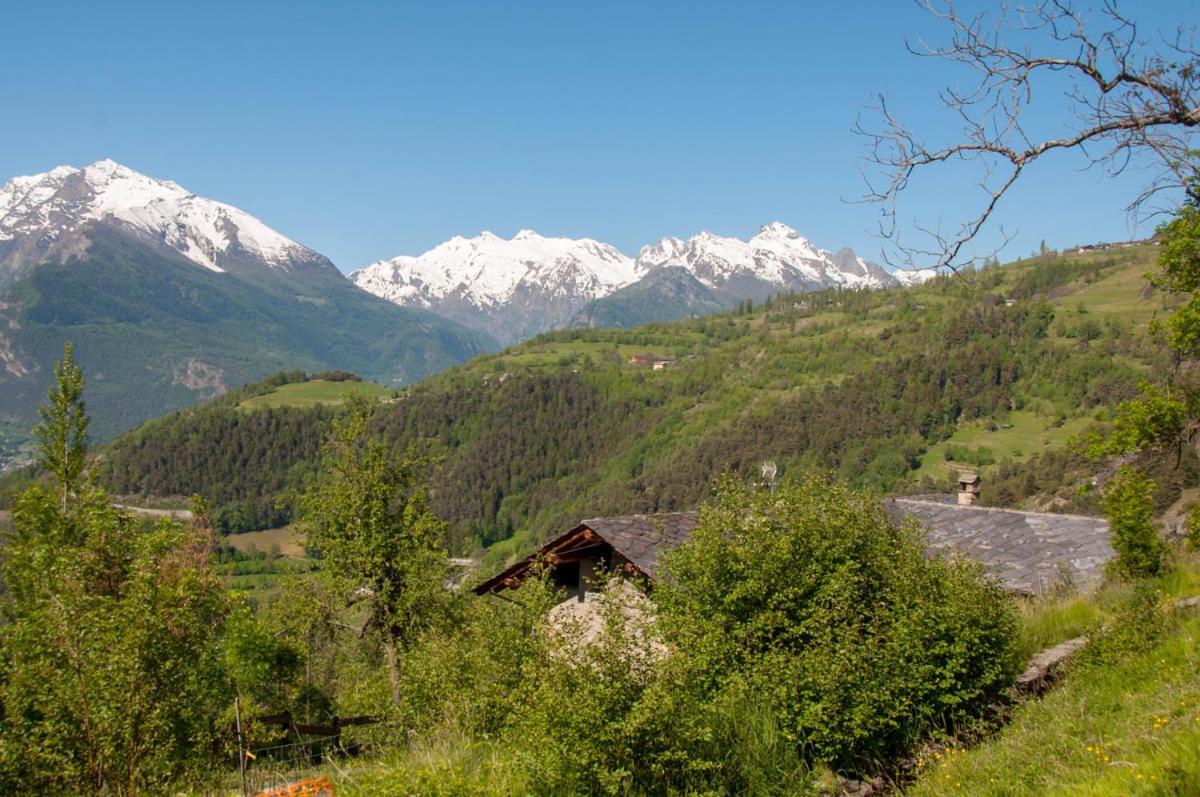 圣皮埃尔La Cascina D'Orleans公寓 外观 照片